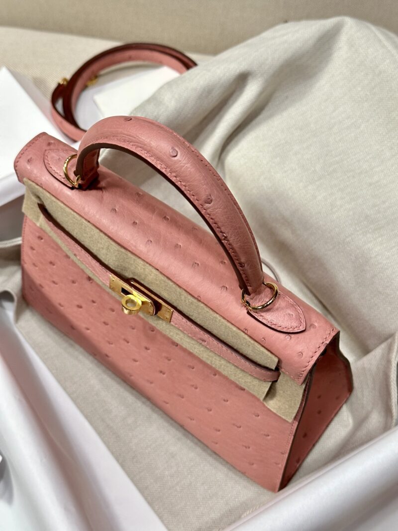 Hermès Kelly 25 Ostrich Terre Cuite Gold Hardware - Image 3