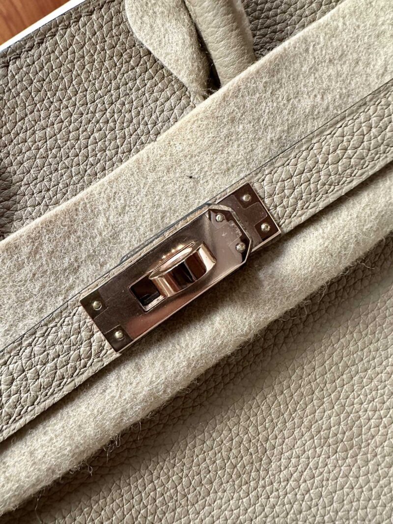 Hermès Birkin 25 Gris Tourterelle Togo Gold Hardware - Image 9