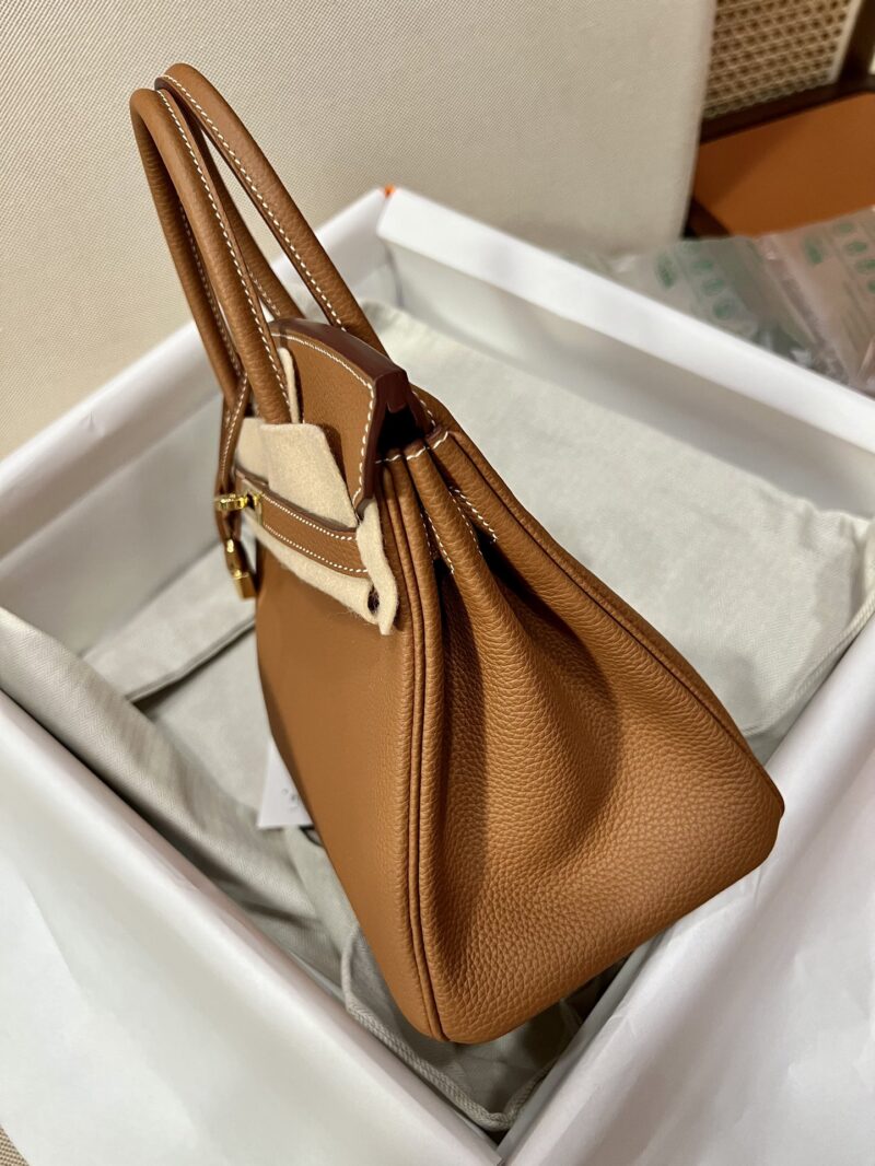 Hermès Birkin 25 Gold Togo Gold Hardware - Image 4