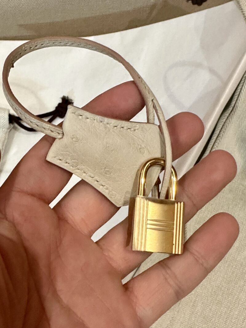Hermès Birkin 25 Beton Ostrich Gold Hardware - Image 10