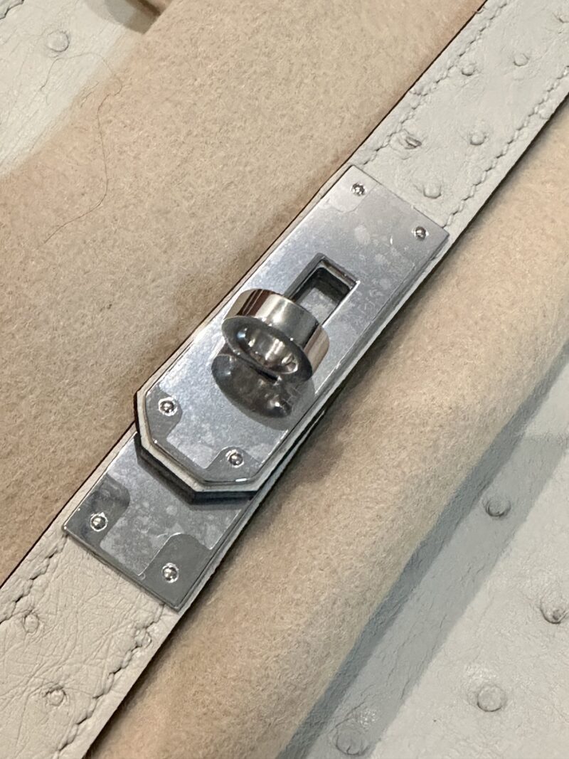 Hermès Birkin 30 Parchemin, Silver Ostrich Palladium Hardware - Image 9