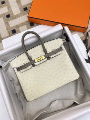 Hermès Birkin 25 Parchemin, Gris Asphalt Ostrich Gold Hardware