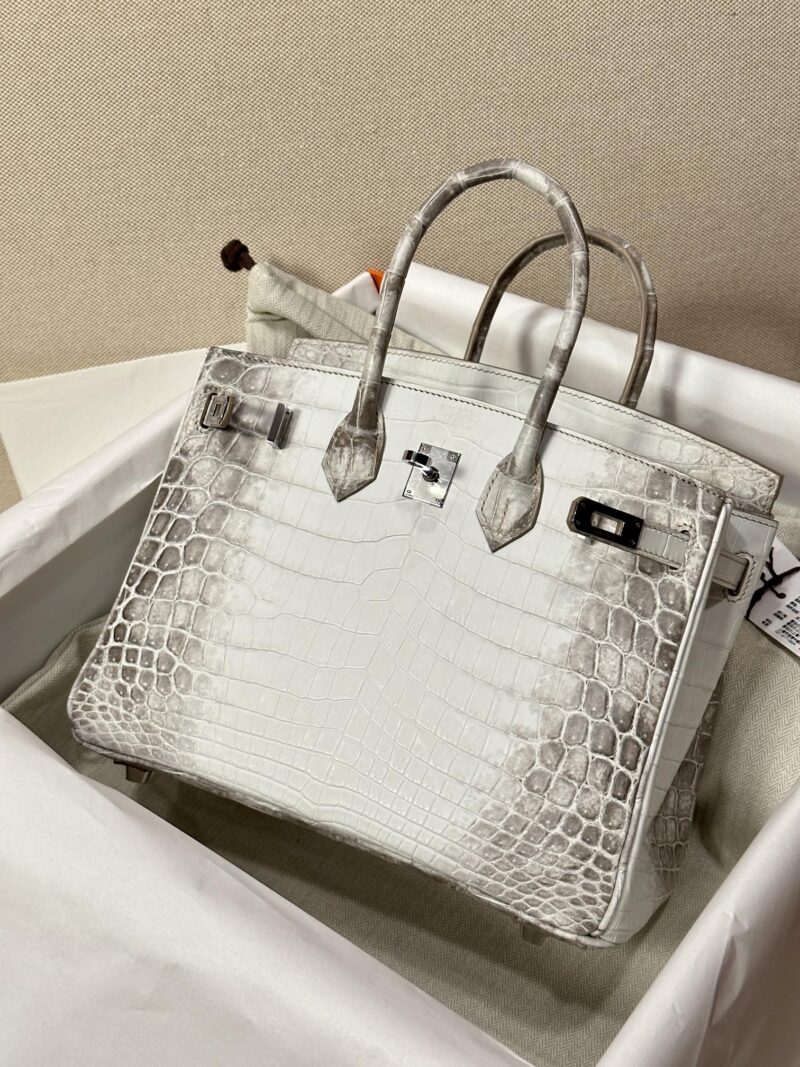 Hermès Birkin 25 Himalaya Crocodile Palladium Hardware - Image 2