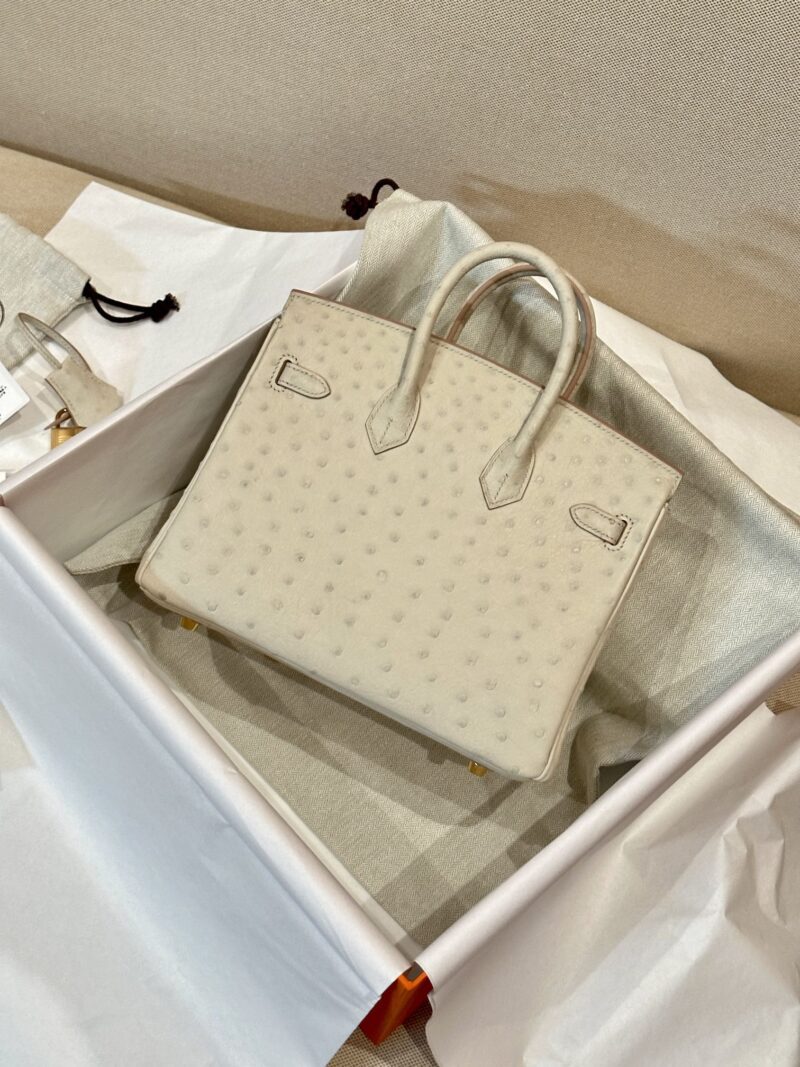 Hermès Birkin 25 Beton Ostrich Gold Hardware - Image 2