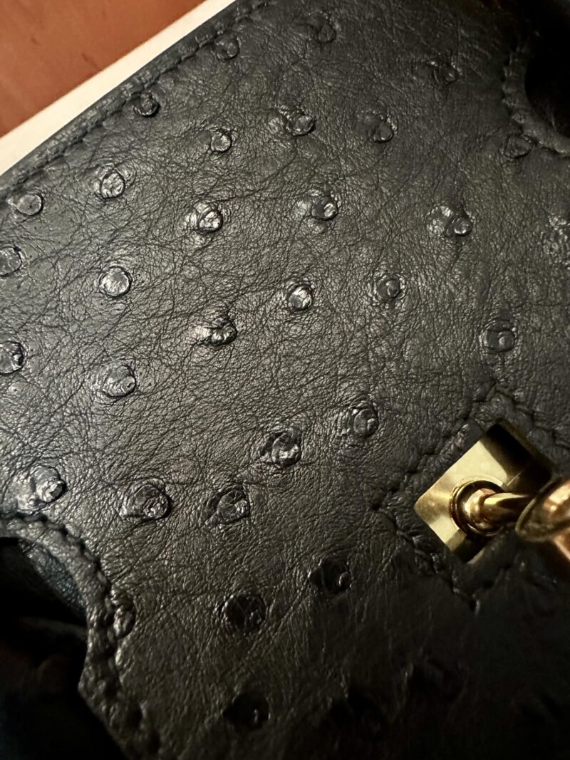 Hermès Birkin 35 Noir Ostrich Gold Hardware - Image 8