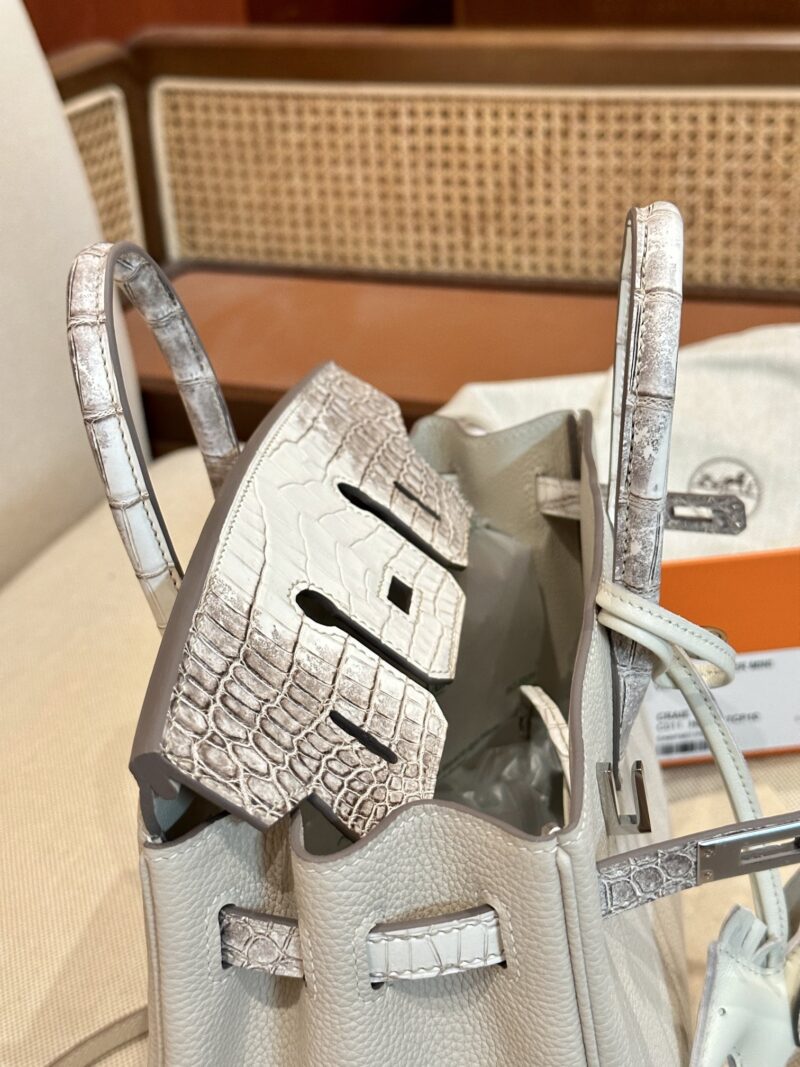 Hermès Birkin 25 Himalaya, Craie Crocodile, Togo Palladium Hardware - Image 11