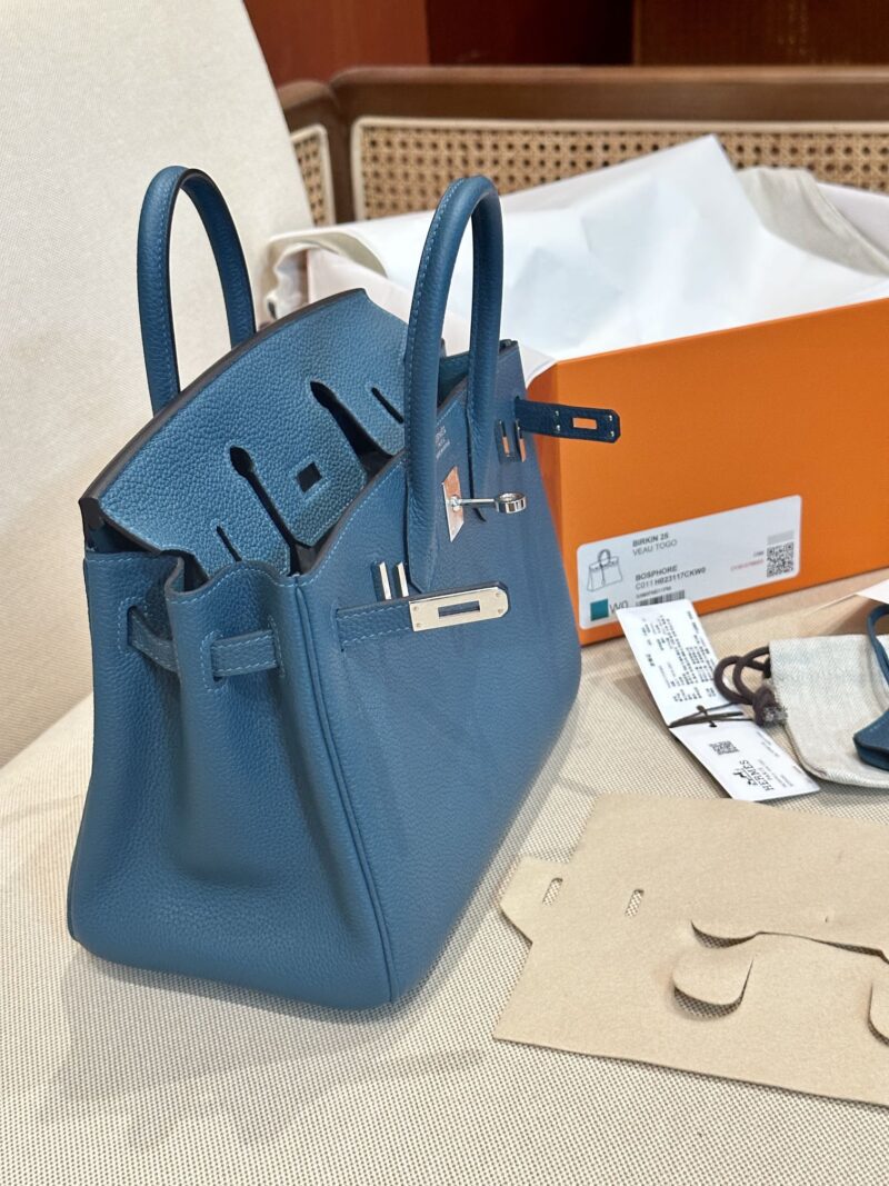 Hermès Birkin 25 Vert Bosphore Togo Palladium Hardware - Image 4
