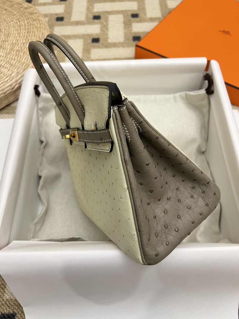 Hermès Birkin 25 Parchemin, Gris Asphalt Ostrich Gold Hardware - Image 3