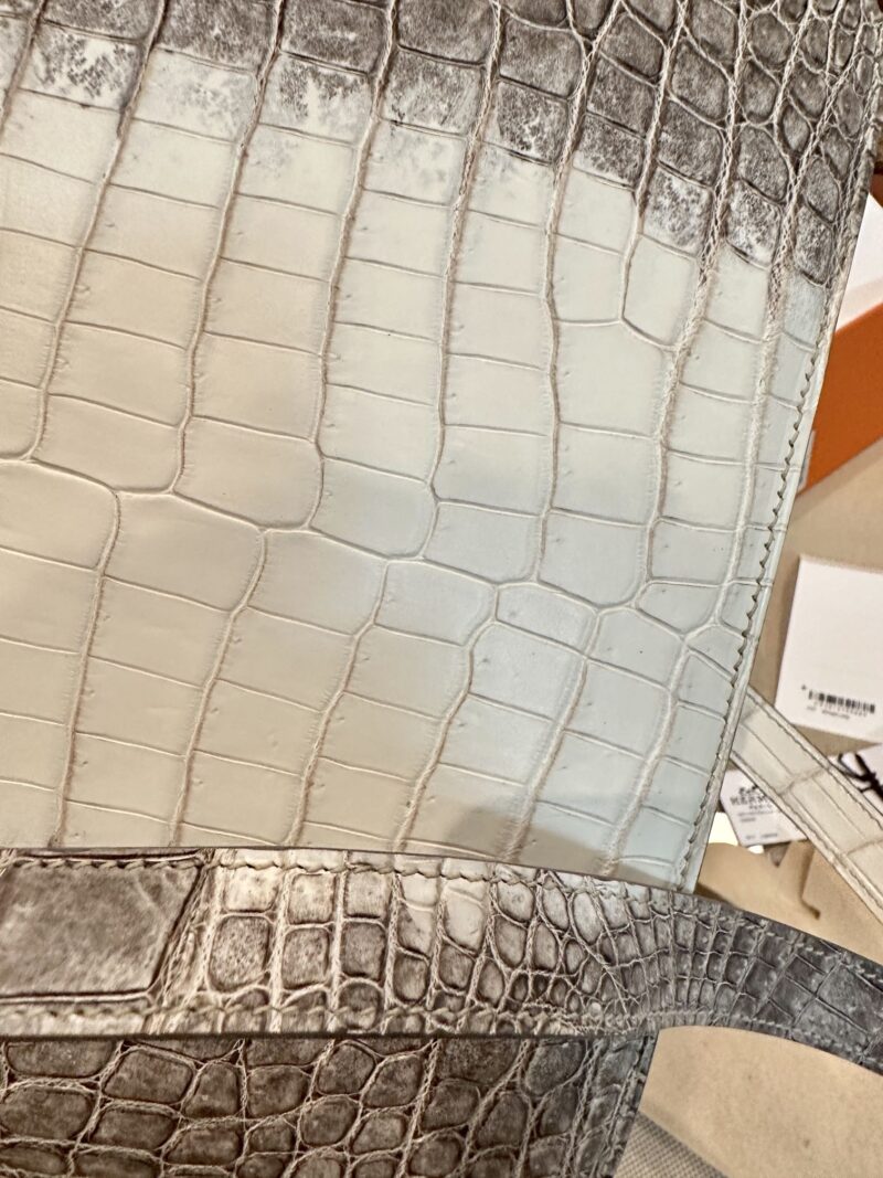 Hermès Constance 24 Himalaya Crocodile Palladium Hardware - Image 20