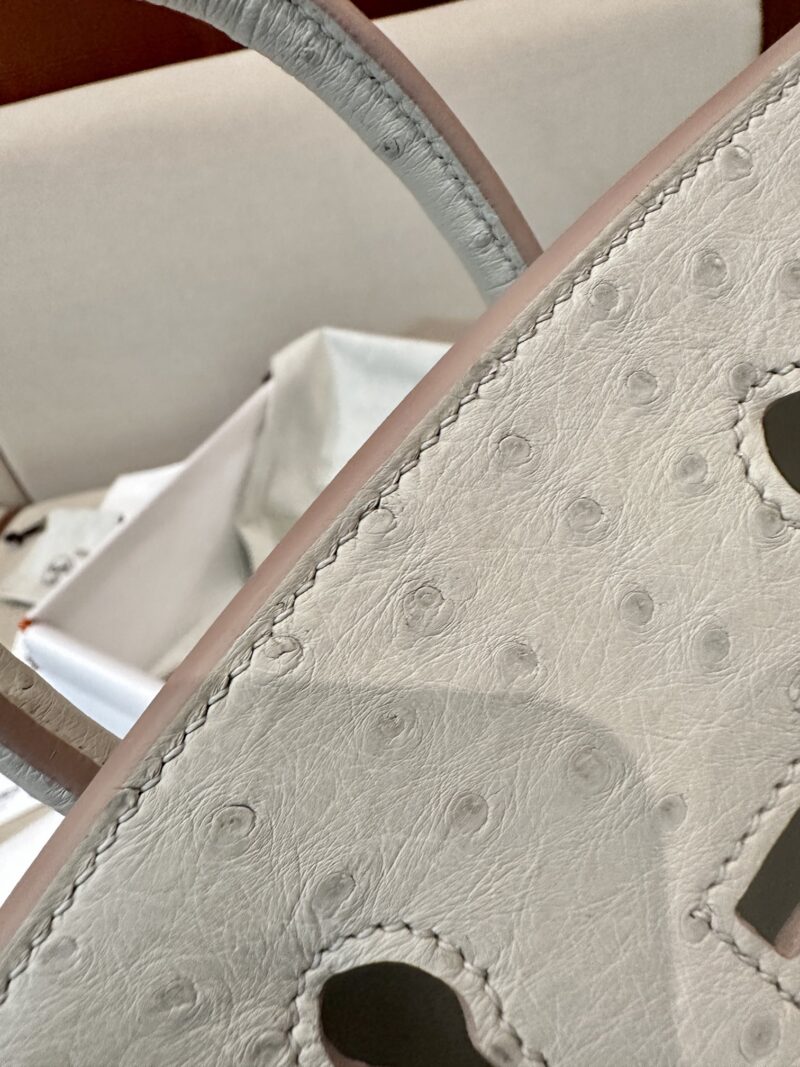 Hermès Birkin 25 Beton Ostrich Gold Hardware - Image 8