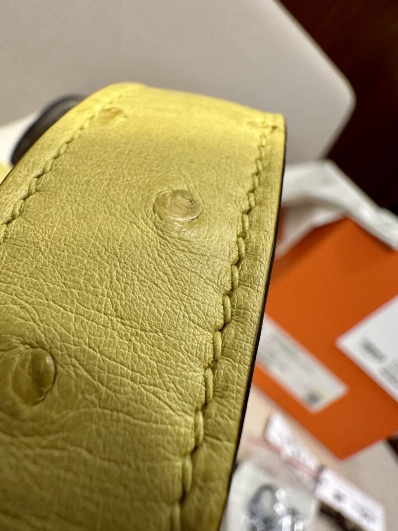 Hermès Picotin 18 Taurillon Clemence & Ostrich Nata & Lime Silver Hardware - Image 8