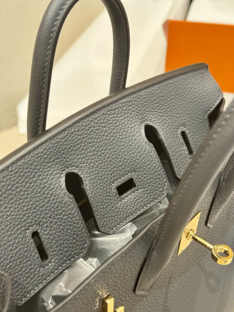Hermès Birkin 25 Gris Misty, Gold Togo Gold Hardware - Image 20