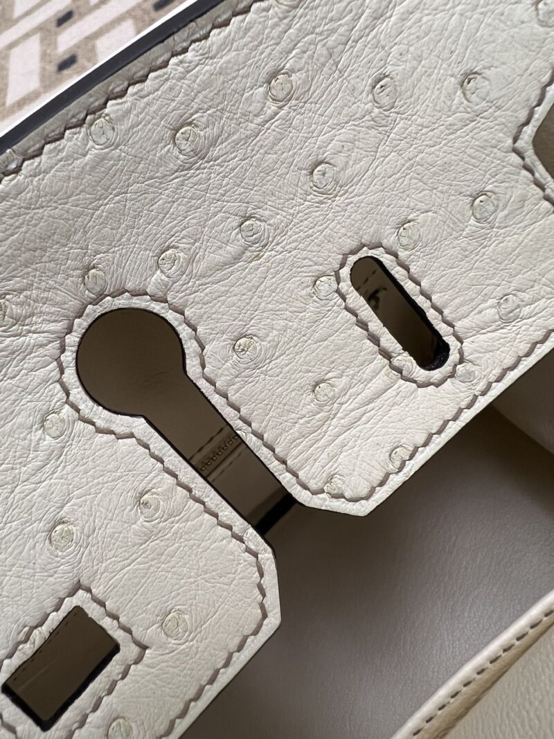 Hermès Birkin 25 Parchemin, Gris Asphalt Ostrich Gold Hardware - Image 10